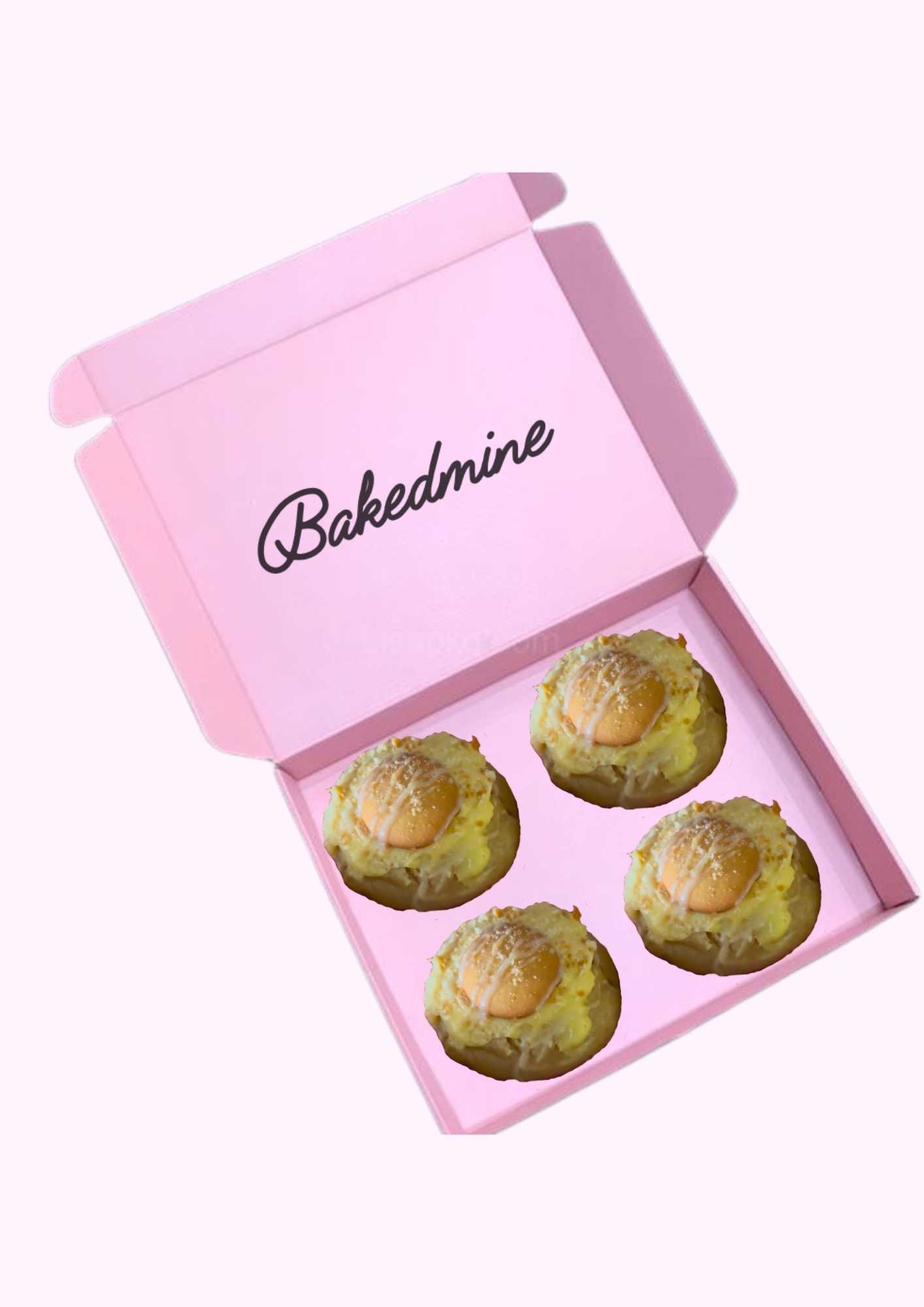 4-pack Single flavor box